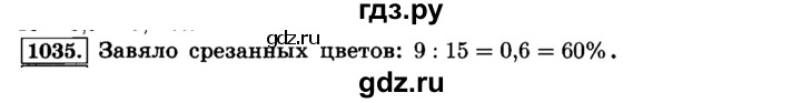 ГДЗ по математике 6 класс  Виленкин   учебник 2015. номер - 1035 (146), Решебник №2