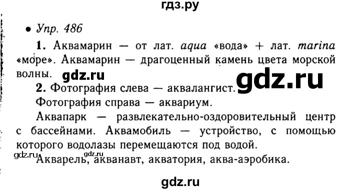 ГДЗ по русскому языку 5 класс  Львова   упражнение - 486, Решебник №1