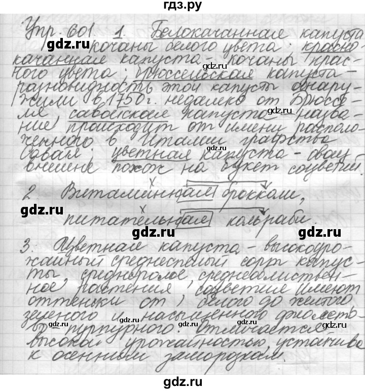 ГДЗ по русскому языку 5 класс  Львова   упражнение - 601, Решебник №3