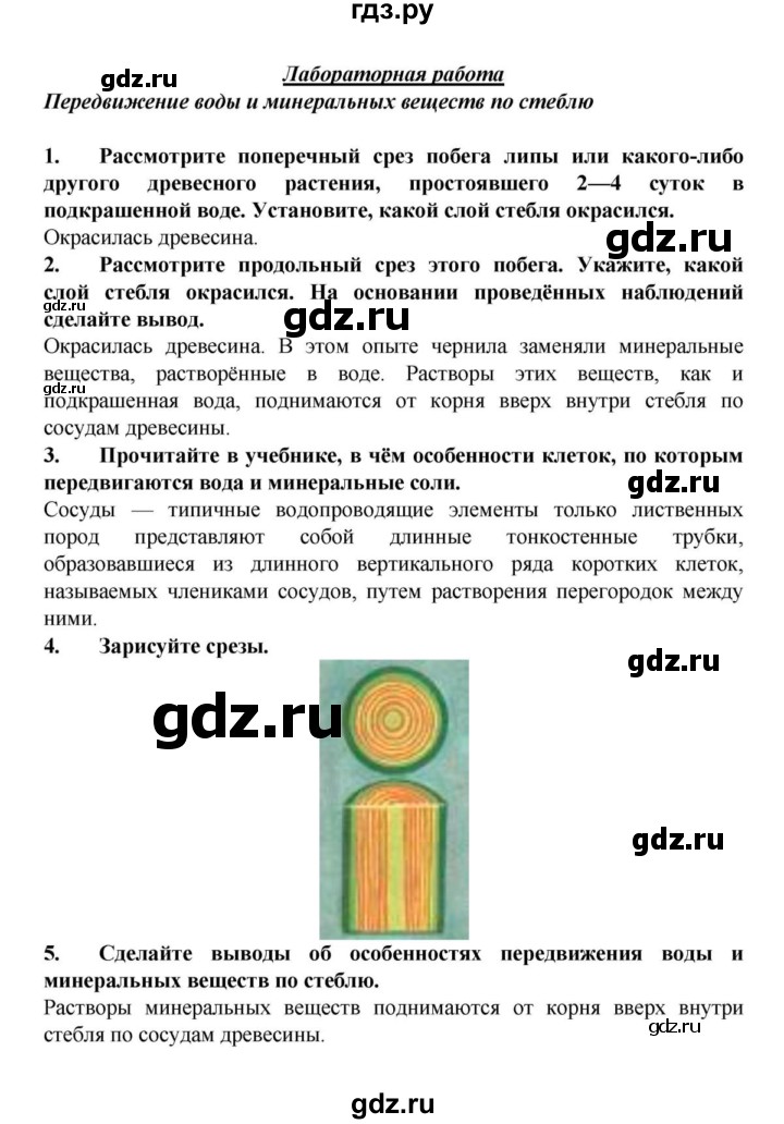 ГДЗ по биологии 6 класс Пасечник Многообразие покрытосеменных растений  § 19. Передвижение воды и питательных веществ в растении  - Лабораторная работа (Передвижение воды и минеральных веществ по стеблю), решебник