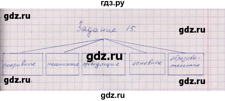 ГДЗ по биологии 6 класс  Пасечник рабочая тетрадь Бактерии, грибы, растения  задание - 15, Решебник