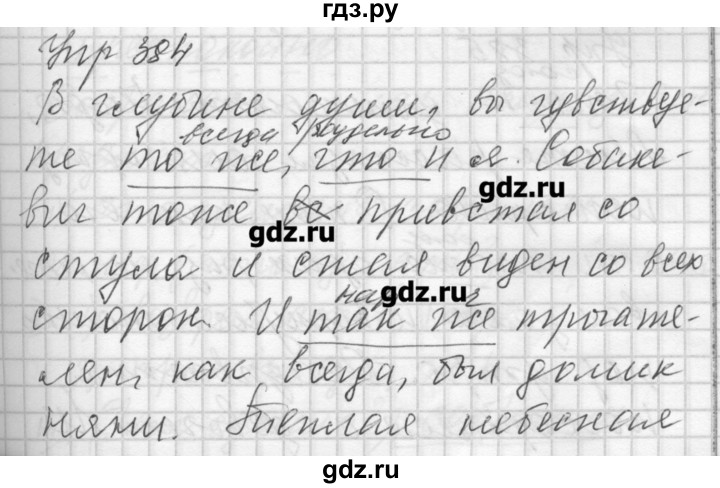 ГДЗ по русскому языку 7 класс Бунеев   упражнение - 384, Решебник