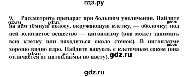 ГДЗ по биологии 5 класс  Пасечник Бактерии, грибы, растения  § 7. Строение клетки / Лабораторная работа № 3 - 9, Решебник №1