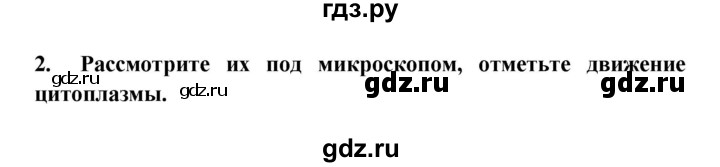 ГДЗ по биологии 5 класс  Пасечник Бактерии, грибы, растения  § 9. Жизнедеятельность клетки, её деление и рост / Лабораторная работа № 5 - 2, Решебник №1