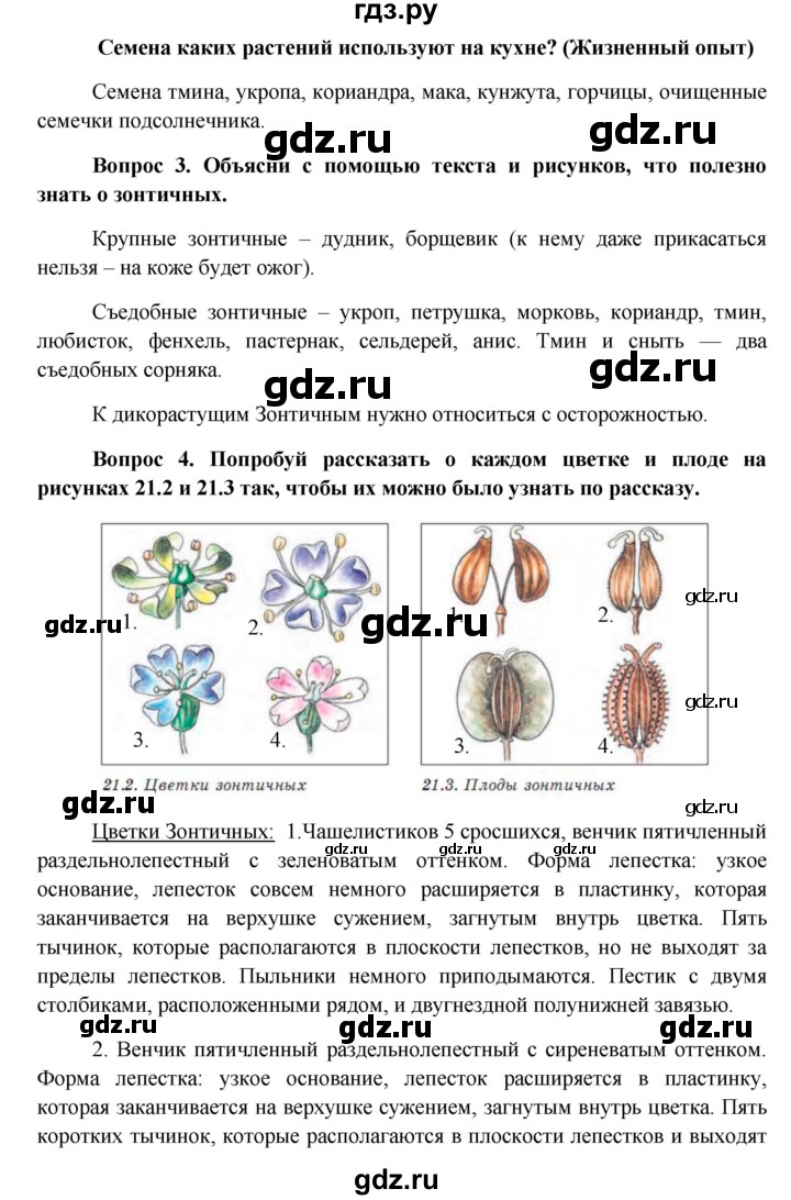 ГДЗ по биологии 6 класс Ловягин   параграф - § 21, Решебник
