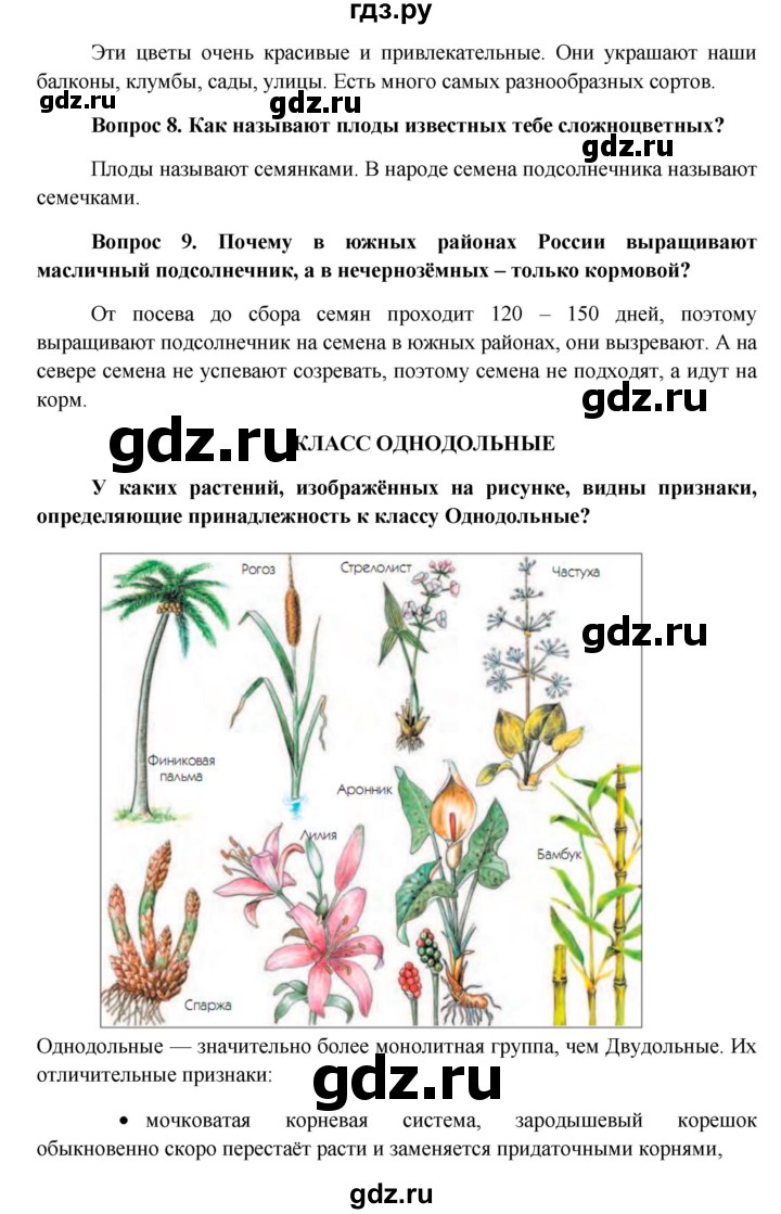 ГДЗ по биологии 6 класс Ловягин   параграф - § 22, Решебник