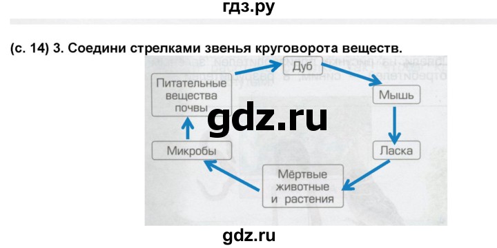 ГДЗ по окружающему миру 3 класс Вахрушев рабочая тетрадь  часть 1 (страница) - 14, Решебник