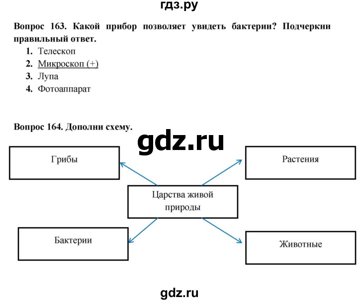 ГДЗ по окружающему миру 3 класс Ивченкова рабочая тетрадь  часть 1 (страница) - 60, Решебник