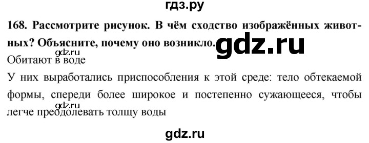 ГДЗ по биологии 5 класс  Сонин рабочая тетрадь  упражнение - 168, Решебник №1