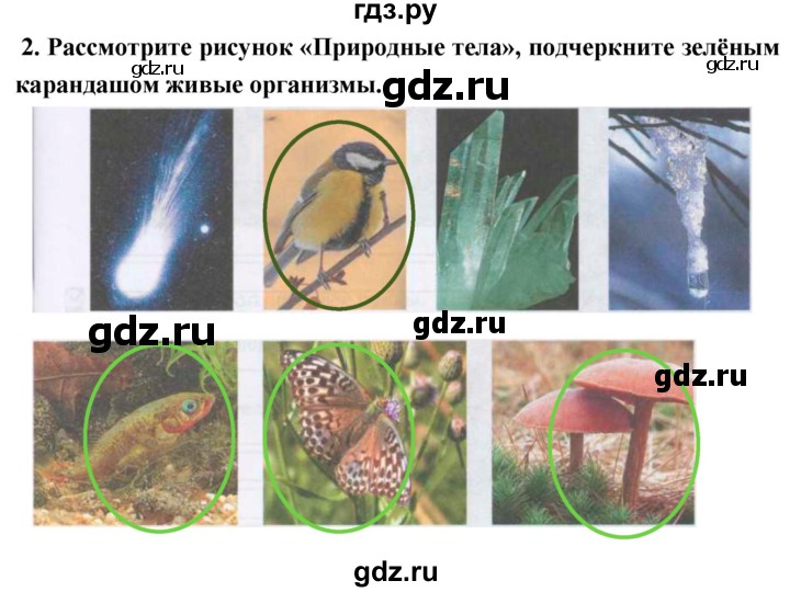 ГДЗ по биологии 5 класс  Сонин рабочая тетрадь  упражнение - 2, Решебник №1