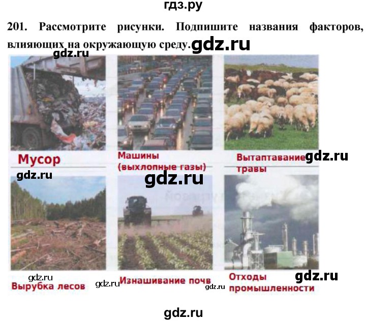 ГДЗ по биологии 5 класс  Сонин рабочая тетрадь  упражнение - 201, Решебник №1