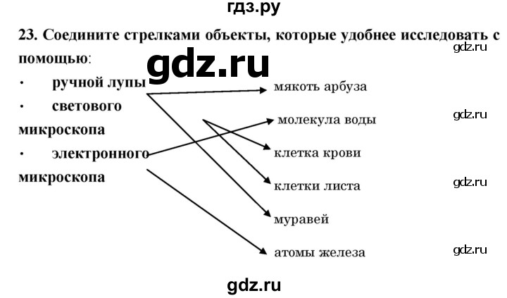 ГДЗ по биологии 5 класс  Сонин рабочая тетрадь  упражнение - 23, Решебник №1