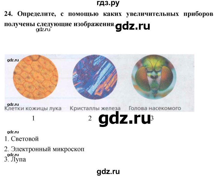 ГДЗ по биологии 5 класс  Сонин рабочая тетрадь  упражнение - 24, Решебник №1
