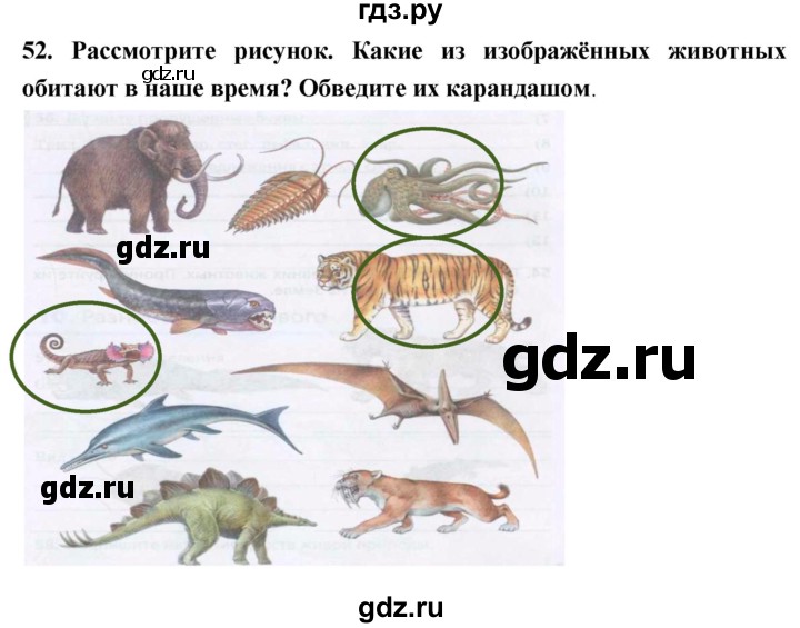 ГДЗ по биологии 5 класс  Сонин рабочая тетрадь  упражнение - 52, Решебник №1