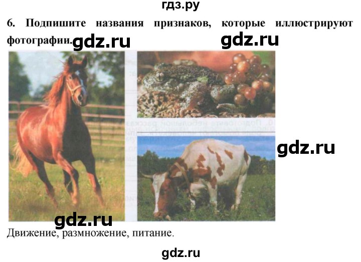 ГДЗ по биологии 5 класс  Сонин рабочая тетрадь  упражнение - 6, Решебник №1