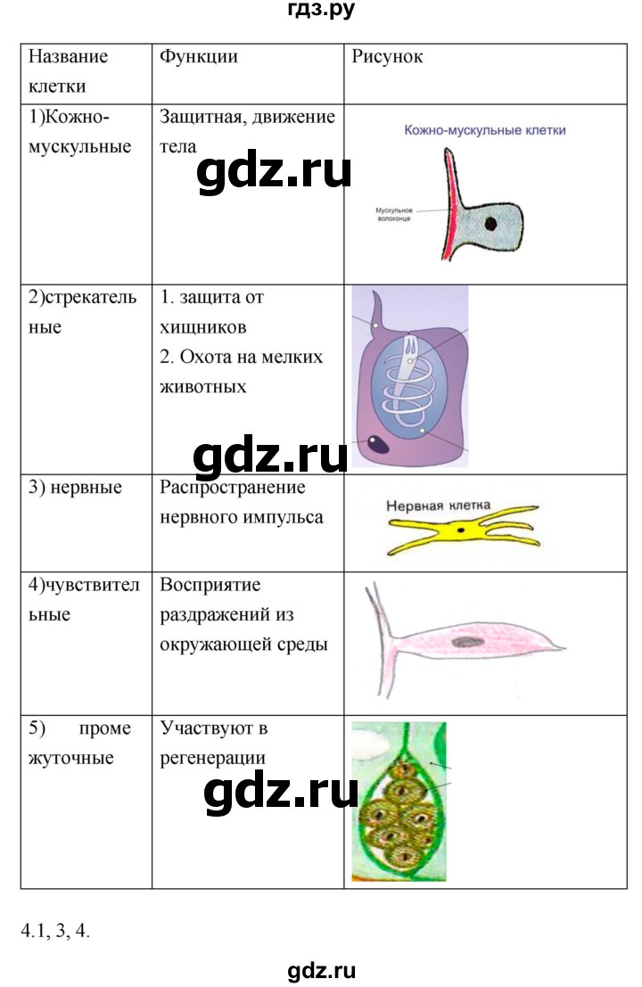 ГДЗ по биологии 7 класс  Тихонова рабочая тетрадь  параграф - 11, Решебник