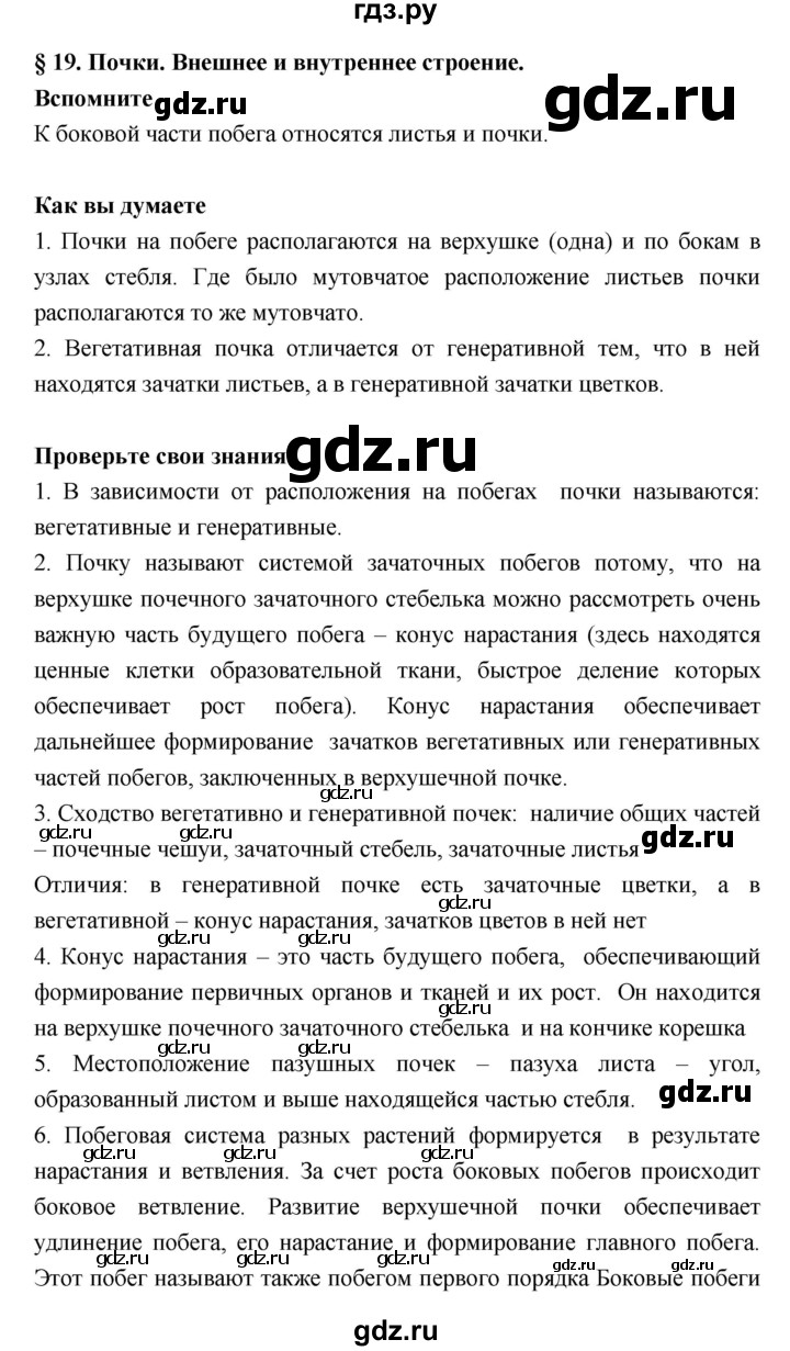 ГДЗ по биологии 6 класс Исаева   параграф - 19, Решебник