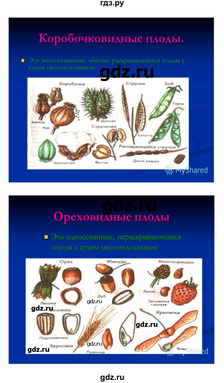 ГДЗ по биологии 6 класс Исаева   параграф - 30, Решебник