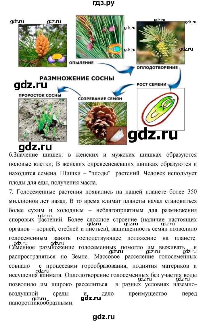 ГДЗ по биологии 6 класс Исаева   параграф - 40, Решебник