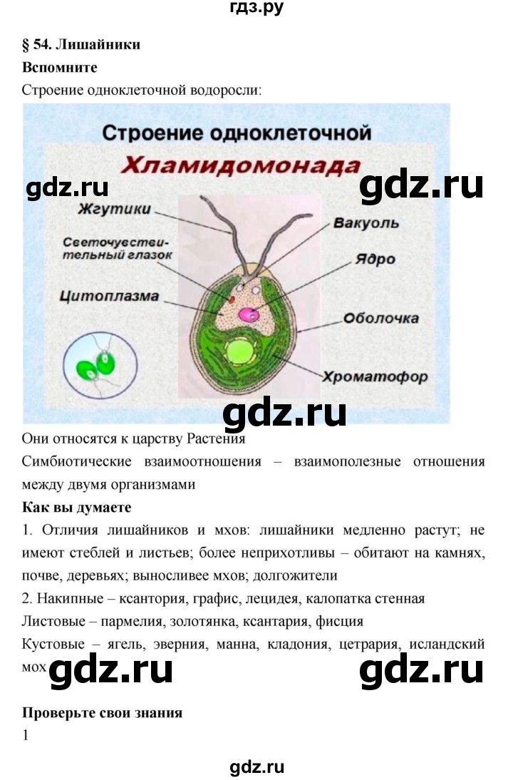 ГДЗ по биологии 6 класс Исаева   параграф - 54, Решебник