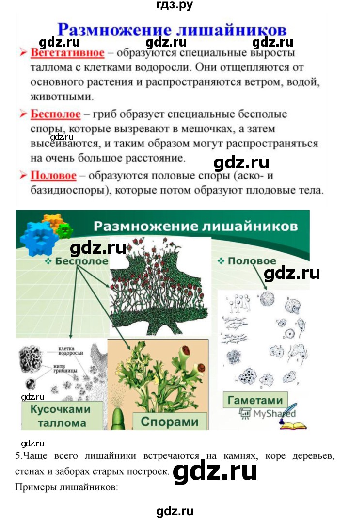ГДЗ по биологии 6 класс Исаева   параграф - 54, Решебник
