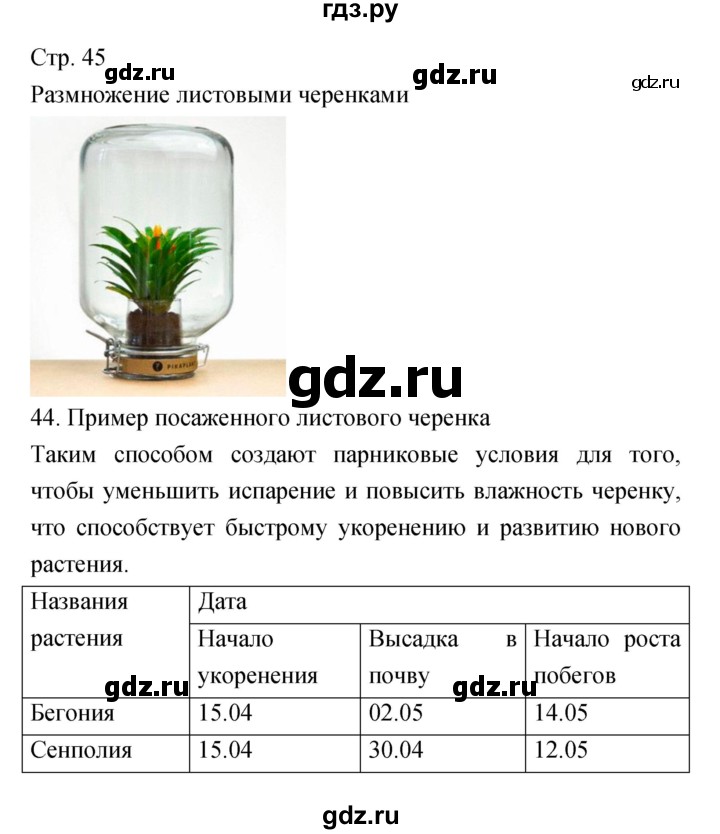 ГДЗ по биологии 5‐6 класс Сухорукова тетрадь-практикум  страница - 45, Решебник №1