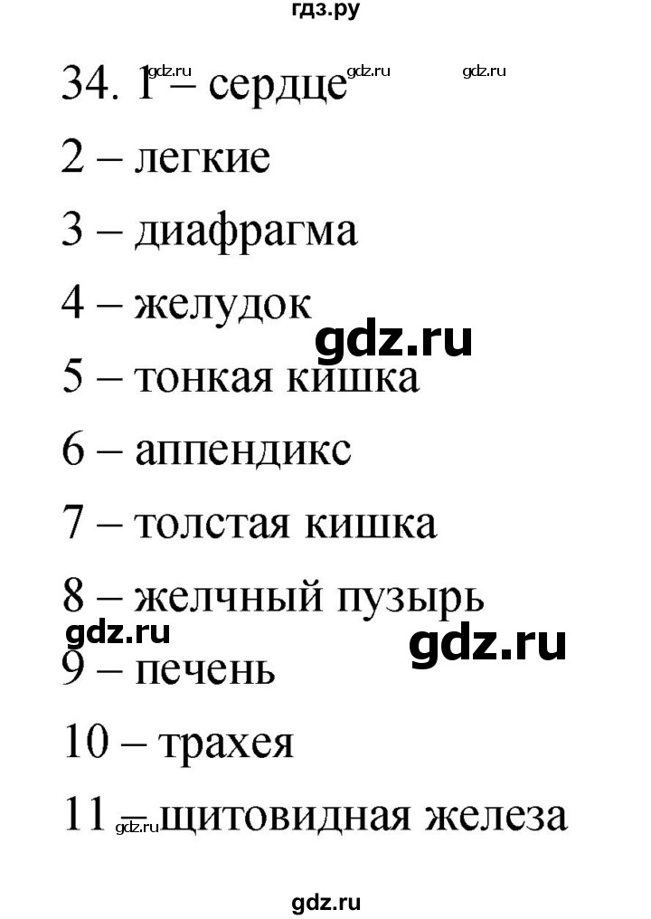 ГДЗ по биологии 8 класс Сонин рабочая тетрадь Человек  номер - 34, Решебник к тетради 2019