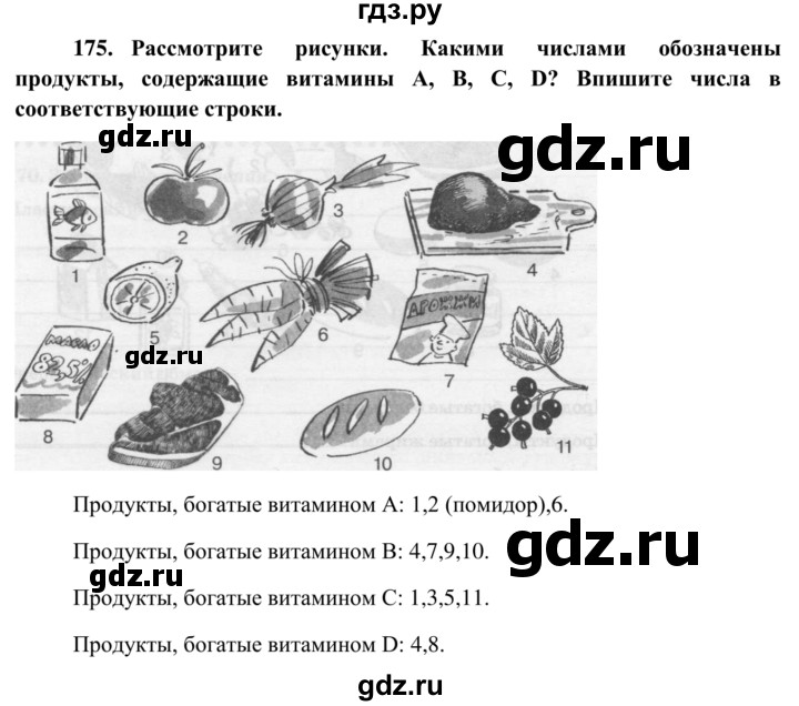 ГДЗ по биологии 8 класс Сонин рабочая тетрадь Человек  номер - 175, Решебник к тетради 2014