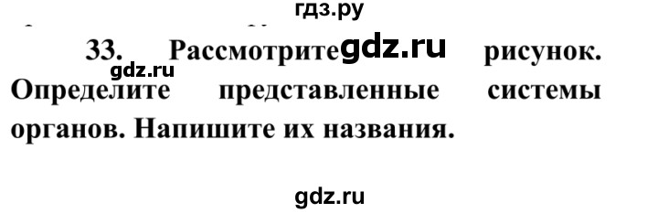 ГДЗ по биологии 8 класс Сонин рабочая тетрадь Человек  номер - 33, Решебник к тетради 2014