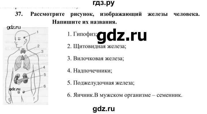 ГДЗ по биологии 8 класс Сонин рабочая тетрадь Человек  номер - 37, Решебник к тетради 2014