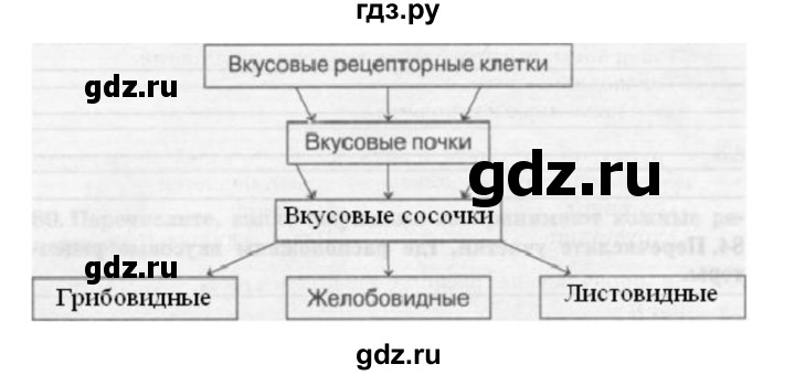 ГДЗ по биологии 8 класс Сонин рабочая тетрадь Человек  номер - 87, Решебник к тетради 2014