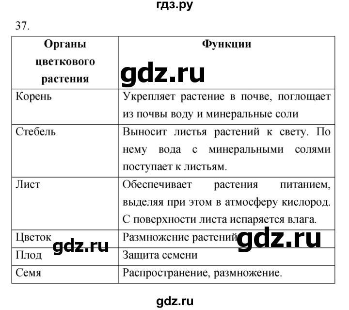 ГДЗ по биологии 6 класс Сонин рабочая тетрадь Живой организм  номер - 37, Решебник