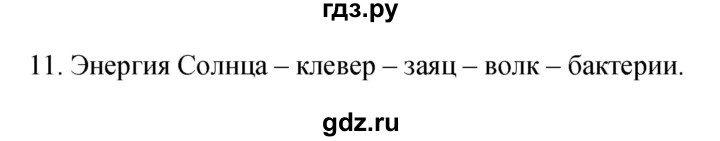 ГДЗ по биологии 5 класс Пасечник рабочая тетрадь Бактерии, грибы, растения  номер - 11, Решебник №1
