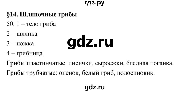 ГДЗ по биологии 5 класс Пасечник рабочая тетрадь Бактерии, грибы, растения  номер - 50, Решебник №1