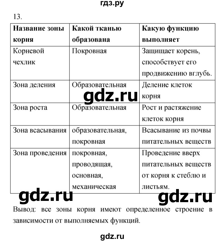 ГДЗ по биологии 6 класс Пасечник рабочая тетрадь Многообразие покрытосеменных растений  номер - 13, Решебник