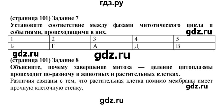 ГДЗ по биологии 10 класс Агафонова рабочая тетрадь Общая биология (Сивоглазов) Базовый уровень страница - 101, Решебник