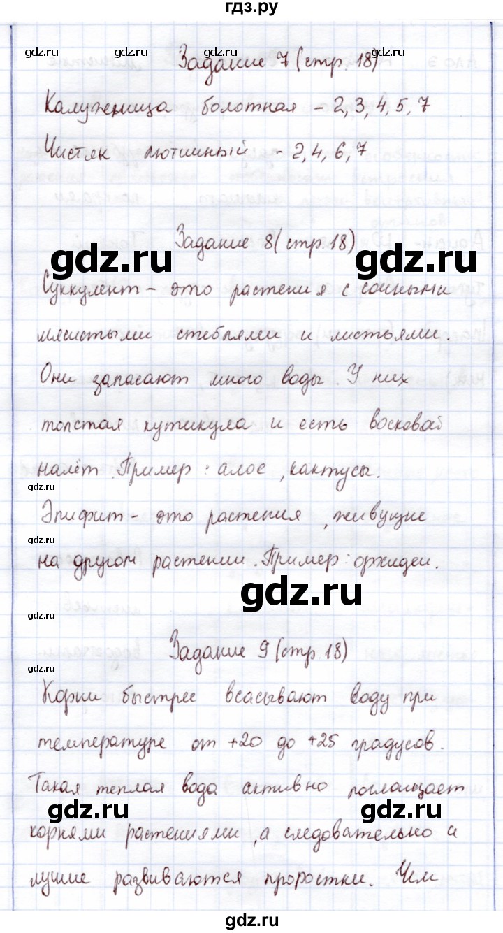 ГДЗ по экологии 6 класс Горская рабочая тетрадь  страница - 18-19, Решебник
