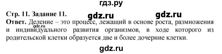 ГДЗ по биологии 6 класс Сонин рабочая тетрадь  страница - 11, Решебник