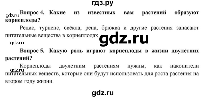 ГДЗ по биологии 6 класс Пасечник Покрытосеменные растения: строение и жизнедеятельность  страница - 54, Решебник