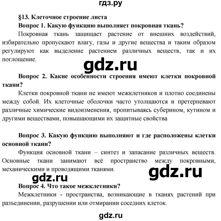 ГДЗ по биологии 6 класс Пасечник Покрытосеменные растения: строение и жизнедеятельность  страница - 67, Решебник