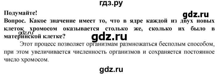 ГДЗ по биологии 5 класс Пасечник  Базовый уровень §10 / подумайте - 1, Решебник