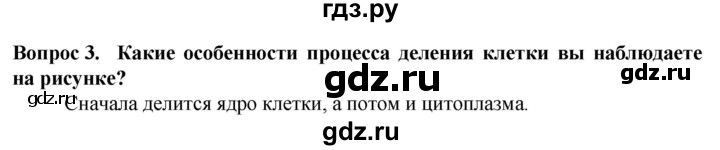 ГДЗ по биологии 5 класс Пасечник  Базовый уровень §10 / моя лаборатория - 3, Решебник
